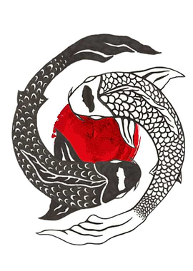Yin Yang Japanese Koi Fish