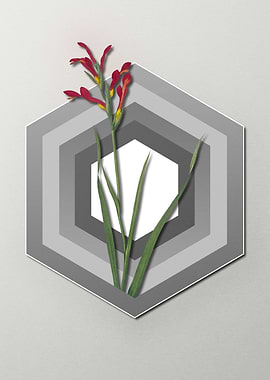 Gladiolus on Paper Shapes