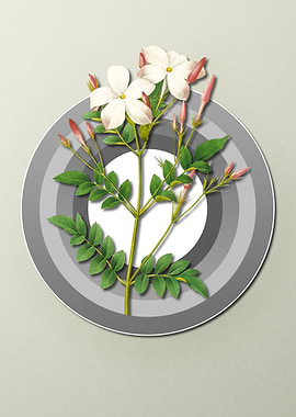 Geometric Flora Jasmine