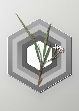 Gladiolus on Paper Shapes