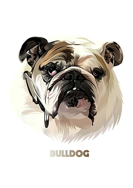 Bulldog
