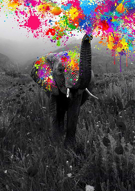 Elephant playing paint