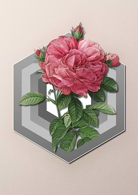 Giant Rose on Paper Shapes