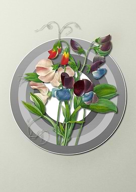 Geometric Flora Sweet Pea