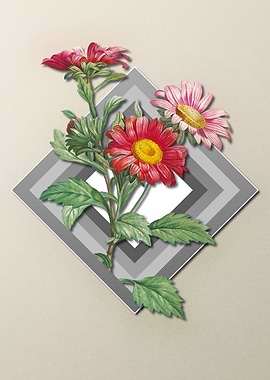 Floral Geometric Red Aster