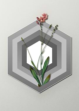 Gladiolus on Paper Shapes