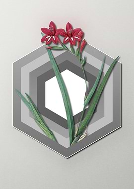 Gladiolus on Paper Shapes