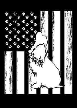 Cavalier King Charles