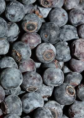 Bluberries wild fruits