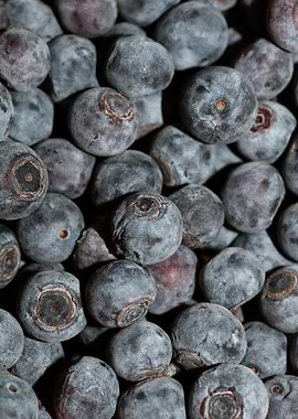 Bluberries wild fruits