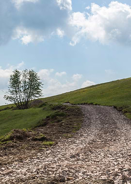street in the mountain