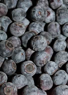 Bluberries wild fruits