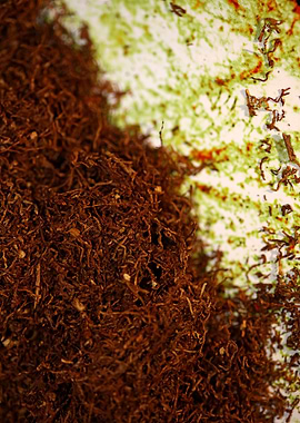 Tobacco leaves background