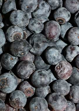 Bluberries wild fruits