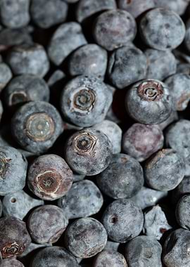 Bluberries wild fruits