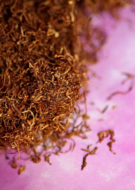 Tobacco leaves background