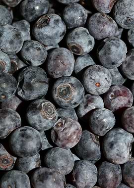 Bluberries wild fruits