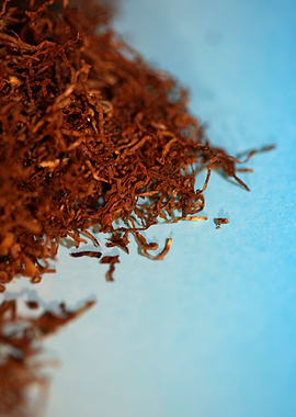 Tobacco leaves background