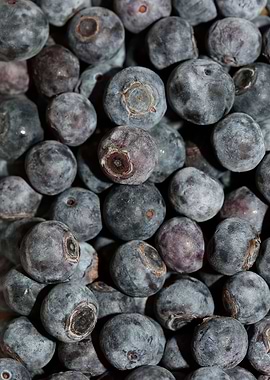 Bluberries wild fruits