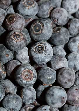 Bluberries wild fruits