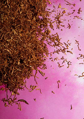 Tobacco leaves background