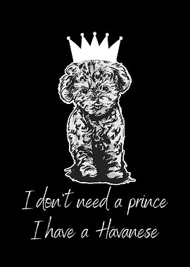 HAVANESE PRINCE QUOTE