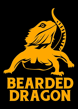 Cute Bearded Dragon