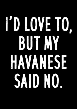 HAVANESE SAID NO QUOTE