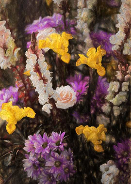 flower in spring season