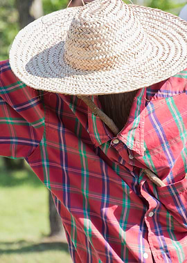 scarecrow in the field