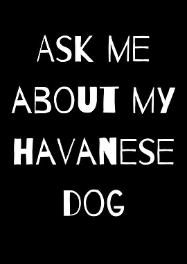 ASK ME ABOUT HAVANESE DOG