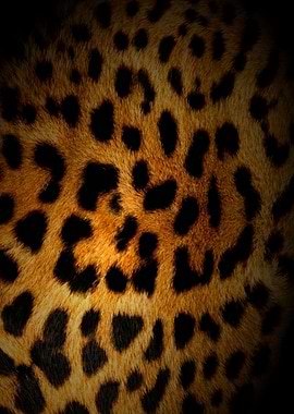 Leopard Animal Print
