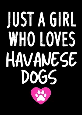 HAVANESE GIRL LOVE DOGS