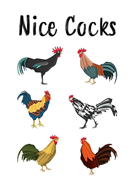 Nice Cocks Chicken Birds