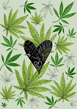 Plant Medicine Quote