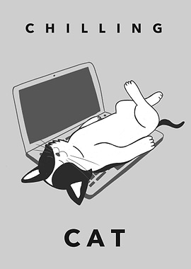 Funny Chilling Cat