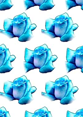 blue roses background