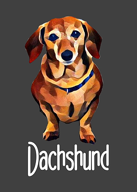 Dog Dachshund Dog Lover