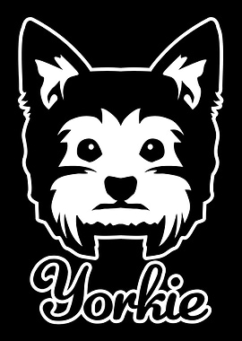 Yorkie
