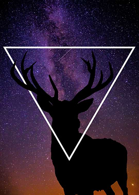 Deer Universe