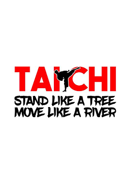 Martial Arts Wall Decor