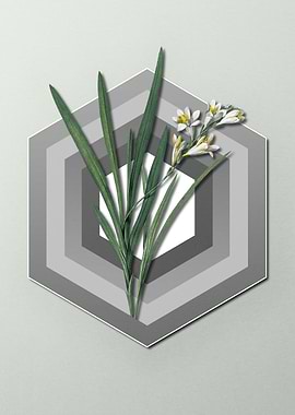 Gladiolus Flower on Pastel