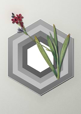 Red Flower on Pastel