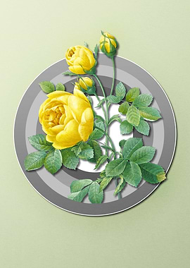 Yellow Rose on Pastel