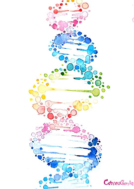 Rainbow DNA