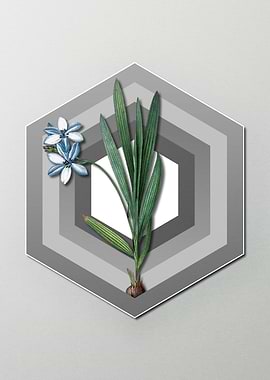 Blue Flower on Pastel