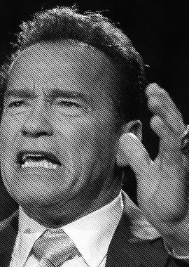 Schwarzenegger