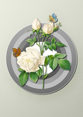 White Rose on Light Pastel