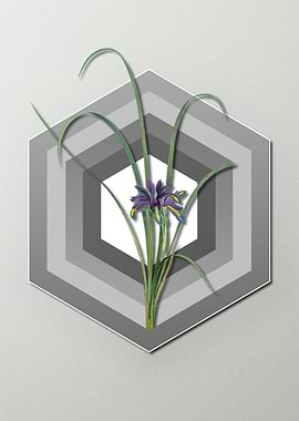 Violet Flower on Pastel