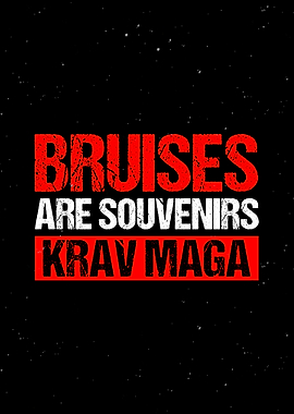 Martial Arts Wall Decor